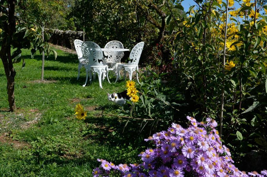 Les Hauts Du Causse Grand-Mas Εξωτερικό φωτογραφία